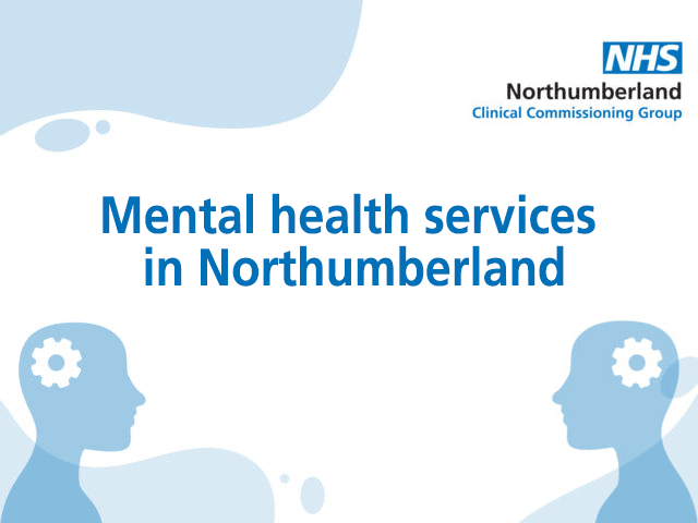 Mental-health-services-Nlandnew.png